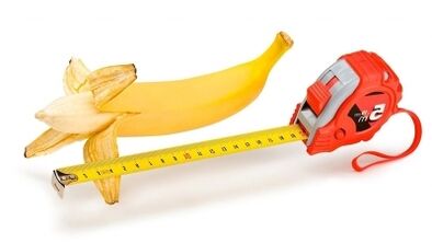Normalny rozmiar penisa wynosi od 13 do 17 cm